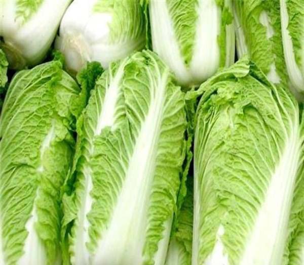 冬天來臨，醋溜白菜好吃，要謹防農(nóng)藥殘留