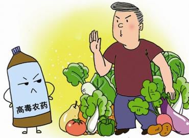 食品安全 食品安全