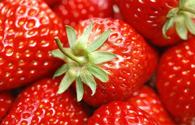 食品安全檢測儀 食品安全檢測儀