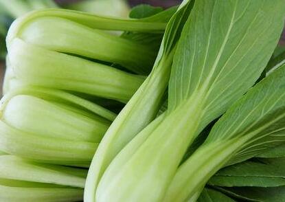 農(nóng)藥殘留速測儀 農(nóng)藥殘留速測儀