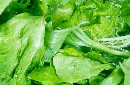 果蔬農(nóng)殘檢測(cè)儀