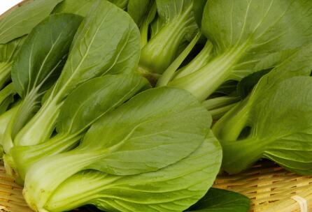 農(nóng)藥殘留測定儀 農(nóng)藥殘留測定儀