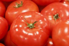 無毒化農藥有可能成為未來趨勢嗎？