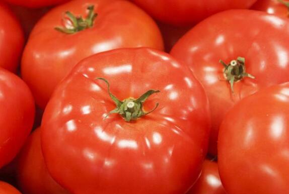 農藥殘留速測儀 農藥殘留速測儀