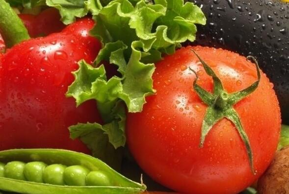 農殘快速檢測儀 農殘快速檢測儀