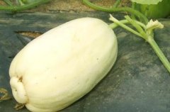 農貿市場配備農藥殘留檢測儀有必要嗎？