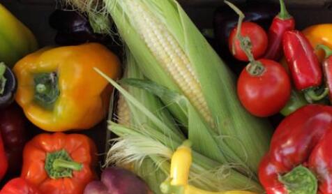 農殘快速檢測儀 農殘快速檢測儀