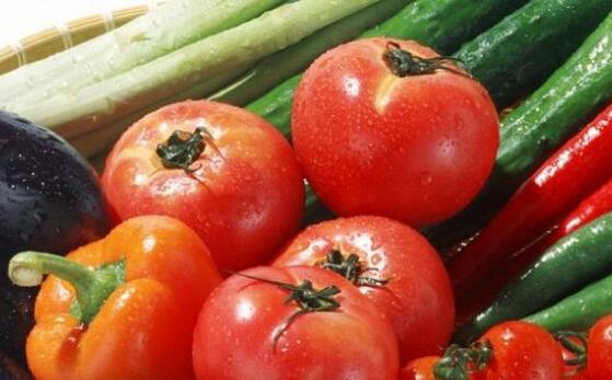 果蔬農殘速測儀 果蔬農殘速測儀